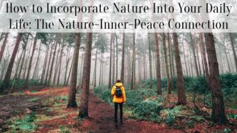 How to Incorporate Nature Into Your Daily Life: The Nature-Inner-Peace Connection