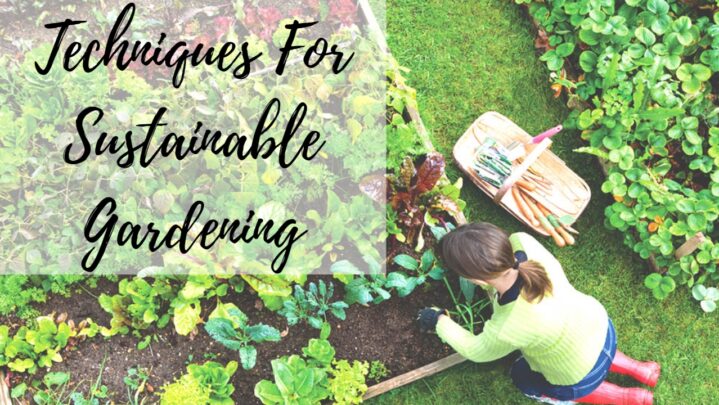 Techniques For Sustainable Gardening