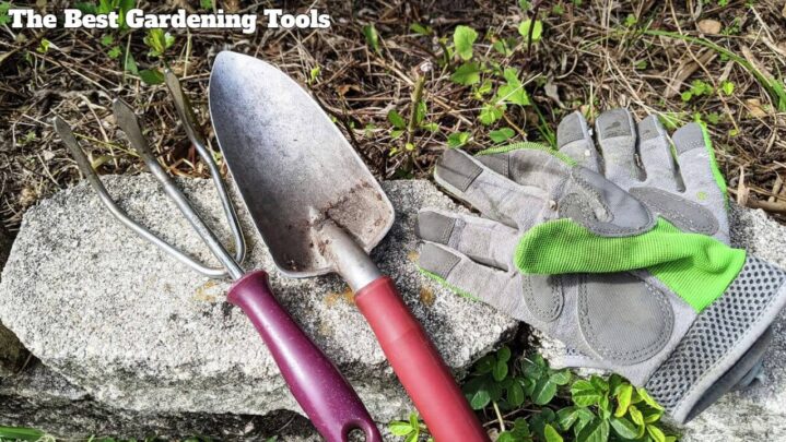 The Best Gardening Tools