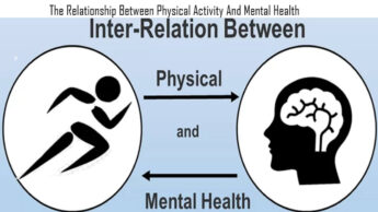 The Relationship Between Physical Activity And Mental Health