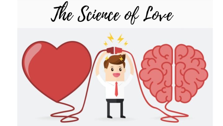 The Science of Love: Understanding the Chemical Processes Behind Attraction