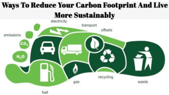 Ways To Reduce Your Carbon Footprint And Live More Sustainably