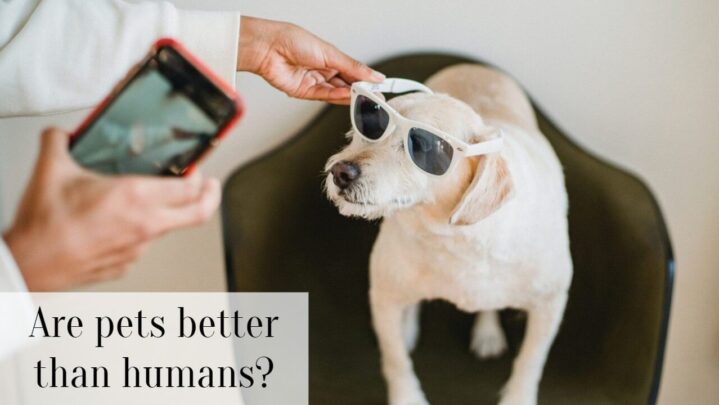 Are pets better than humans?