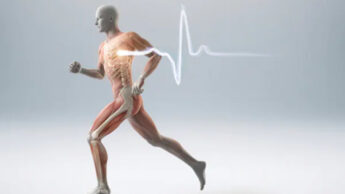 How To Improve Bone And Muscle Health