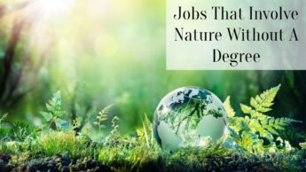 Jobs That Involve Nature Without A Degree