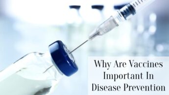 Why Are Vaccines Important In Disease Prevention