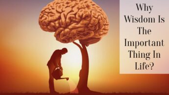 Why Wisdom Is The Important Thing In Life?