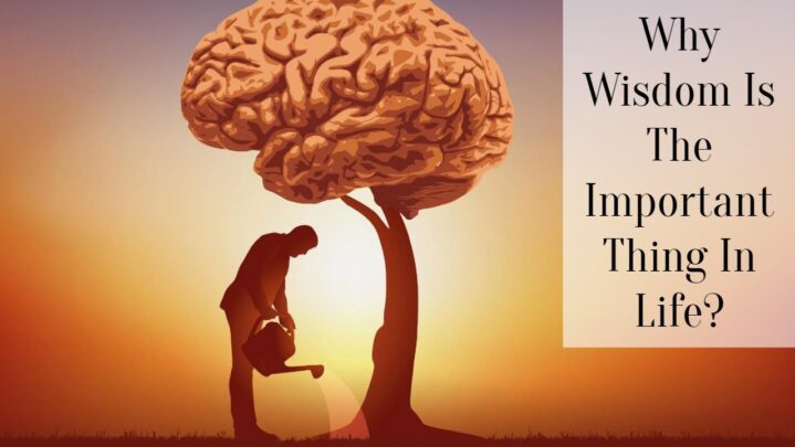 Why Wisdom Is The Important Thing In Life?