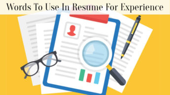 Words To Use In Resume For Experience