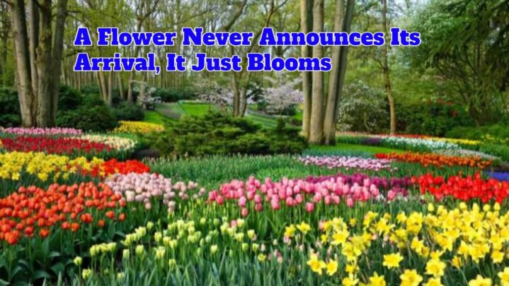 A Flower Never Announces Its Arrival, It Just Blooms