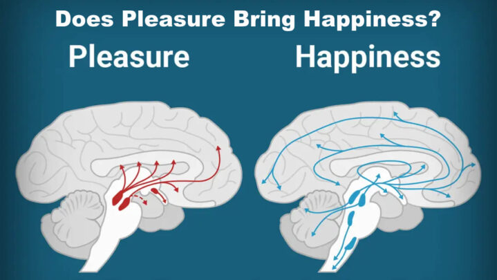 Does Pleasure Bring Happiness?