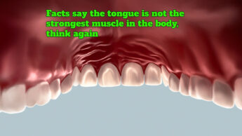Facts say the tongue is not the strongest muscle in the body, think again