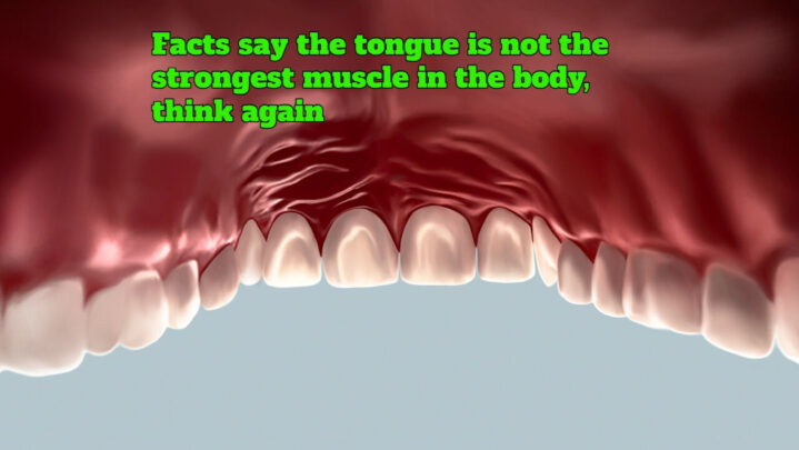 Facts say the tongue is not the strongest muscle in the body, think again