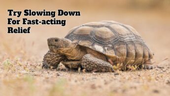 Try Slowing Down For Fast-acting Relief