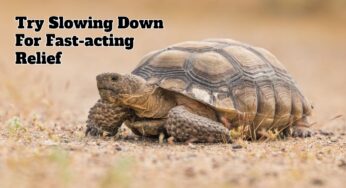 Try Slowing Down For Fast-acting Relief