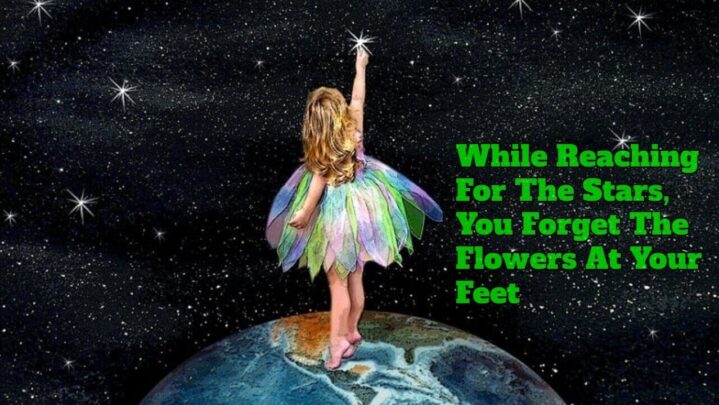 While Reaching For The Stars, You Forget The Flowers At Your Feet