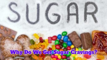 Why Do We Get Sugar Cravings?