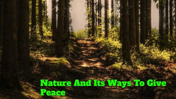 Nature And Its Ways To Give Peace
