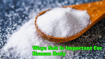 Ways Salt Is Important For Human Body