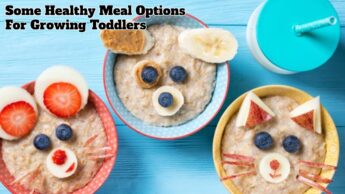 Some Healthy Meal Options For Growing Toddlers