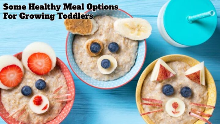 Some Healthy Meal Options For Growing Toddlers