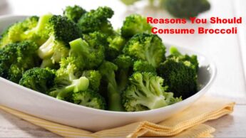 Reasons You Should Consume Broccoli